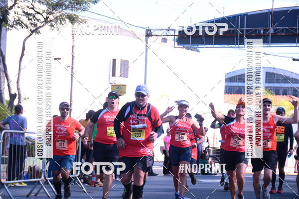 Buy your photos of the eventUltramaratona Trail Run CS 2019 on Fotop