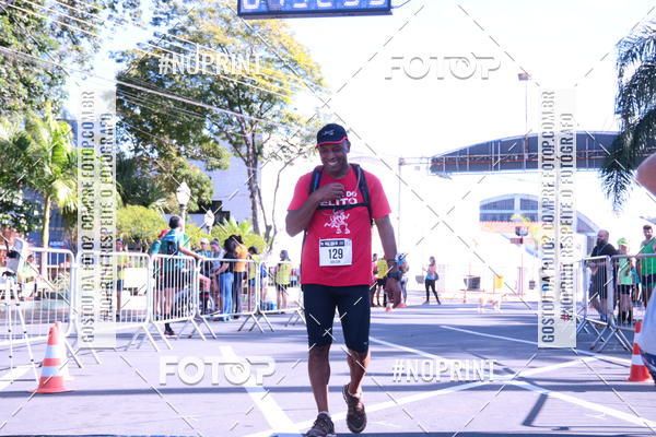 Buy your photos of the eventUltramaratona Trail Run CS 2019 on Fotop