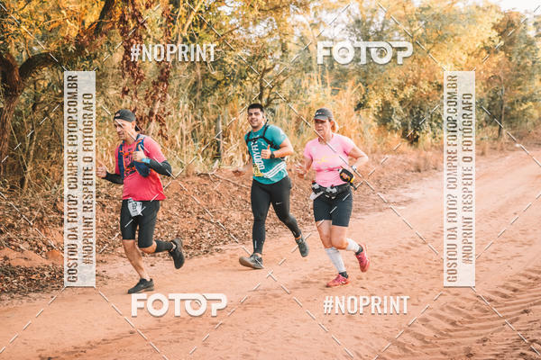 Buy your photos of the eventUltramaratona Trail Run CS 2019 on Fotop