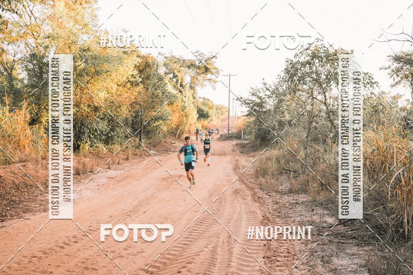 Buy your photos of the eventUltramaratona Trail Run CS 2019 on Fotop