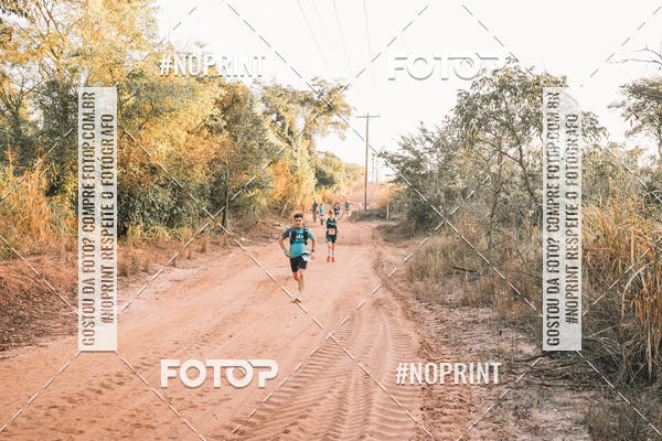 Buy your photos of the eventUltramaratona Trail Run CS 2019 on Fotop