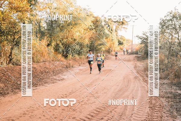 Buy your photos of the eventUltramaratona Trail Run CS 2019 on Fotop