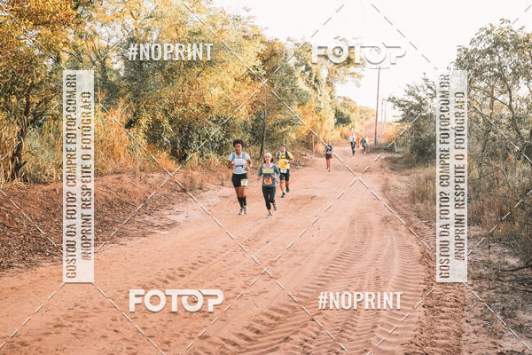 Buy your photos of the eventUltramaratona Trail Run CS 2019 on Fotop
