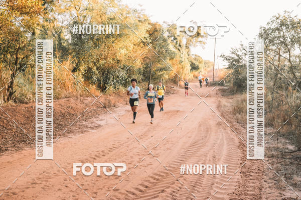 Buy your photos of the eventUltramaratona Trail Run CS 2019 on Fotop