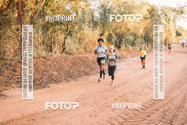 Buy your photos of the eventUltramaratona Trail Run CS 2019 on Fotop