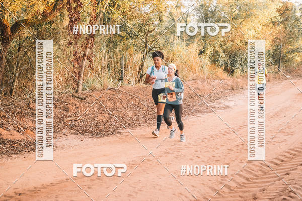 Buy your photos of the eventUltramaratona Trail Run CS 2019 on Fotop