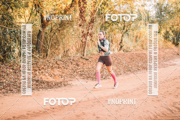 Buy your photos of the eventUltramaratona Trail Run CS 2019 on Fotop