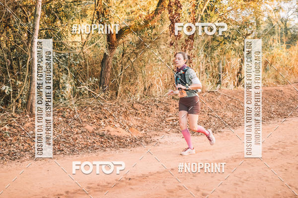 Buy your photos of the eventUltramaratona Trail Run CS 2019 on Fotop
