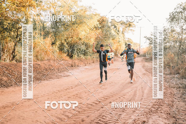 Buy your photos of the eventUltramaratona Trail Run CS 2019 on Fotop