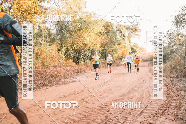 Buy your photos of the eventUltramaratona Trail Run CS 2019 on Fotop