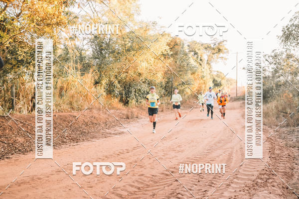 Buy your photos of the eventUltramaratona Trail Run CS 2019 on Fotop