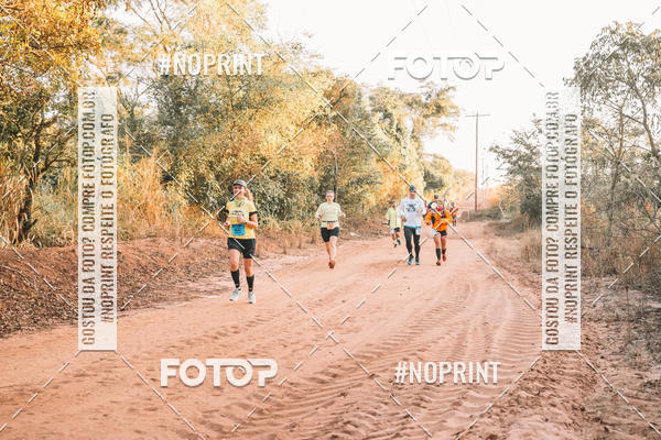 Buy your photos of the eventUltramaratona Trail Run CS 2019 on Fotop