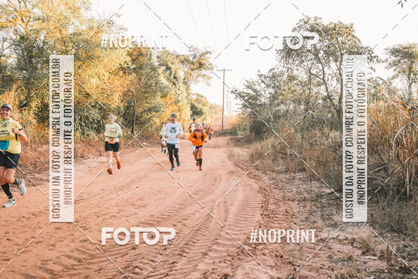 Buy your photos of the eventUltramaratona Trail Run CS 2019 on Fotop