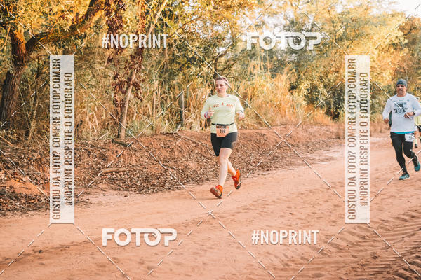 Buy your photos of the eventUltramaratona Trail Run CS 2019 on Fotop