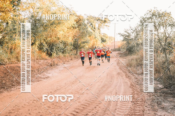 Buy your photos of the eventUltramaratona Trail Run CS 2019 on Fotop