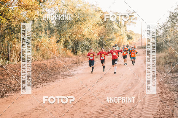 Buy your photos of the eventUltramaratona Trail Run CS 2019 on Fotop