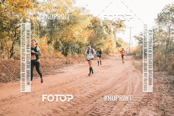 Buy your photos of the eventUltramaratona Trail Run CS 2019 on Fotop