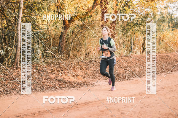 Buy your photos of the eventUltramaratona Trail Run CS 2019 on Fotop