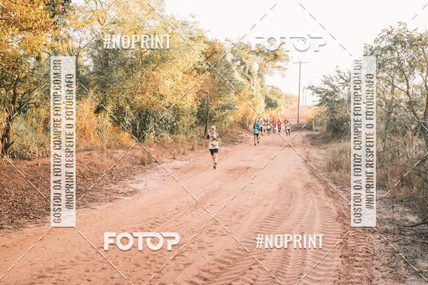 Buy your photos of the eventUltramaratona Trail Run CS 2019 on Fotop