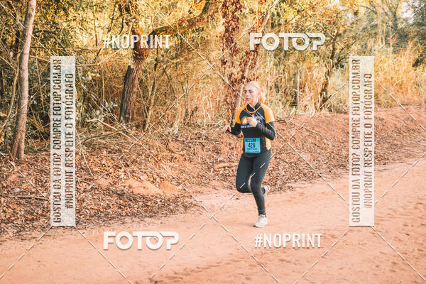 Buy your photos of the eventUltramaratona Trail Run CS 2019 on Fotop