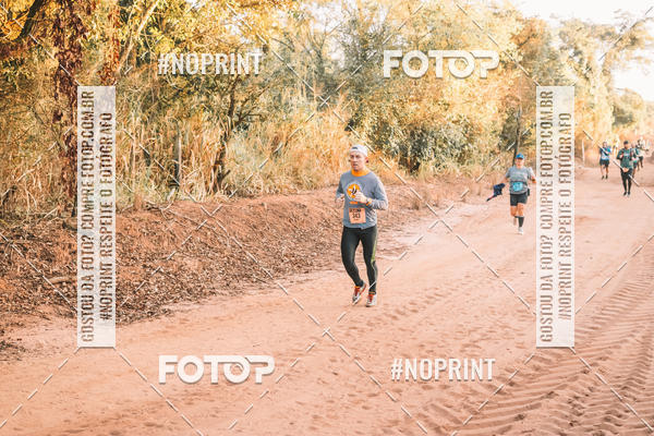 Buy your photos of the eventUltramaratona Trail Run CS 2019 on Fotop