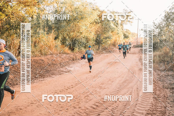 Buy your photos of the eventUltramaratona Trail Run CS 2019 on Fotop