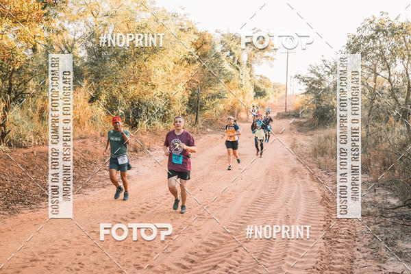 Buy your photos of the eventUltramaratona Trail Run CS 2019 on Fotop