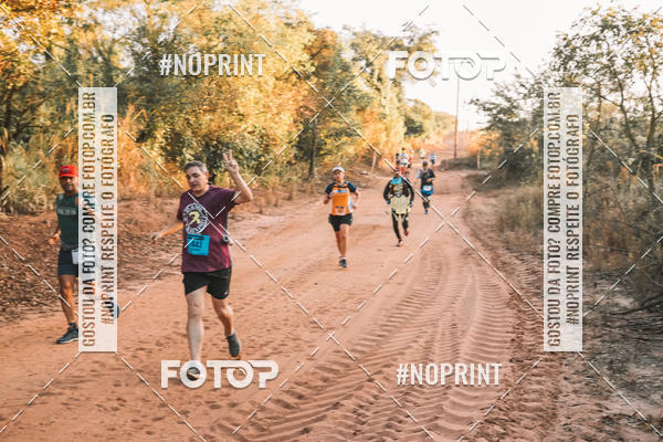 Buy your photos of the eventUltramaratona Trail Run CS 2019 on Fotop