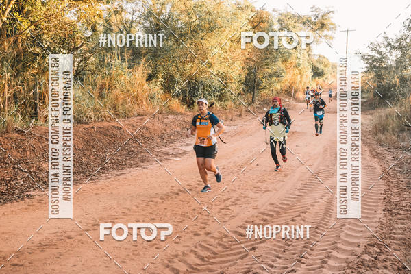 Buy your photos of the eventUltramaratona Trail Run CS 2019 on Fotop
