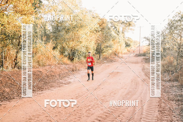 Buy your photos of the eventUltramaratona Trail Run CS 2019 on Fotop