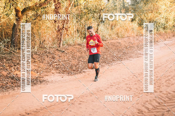 Buy your photos of the eventUltramaratona Trail Run CS 2019 on Fotop