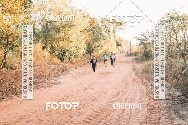 Buy your photos of the eventUltramaratona Trail Run CS 2019 on Fotop