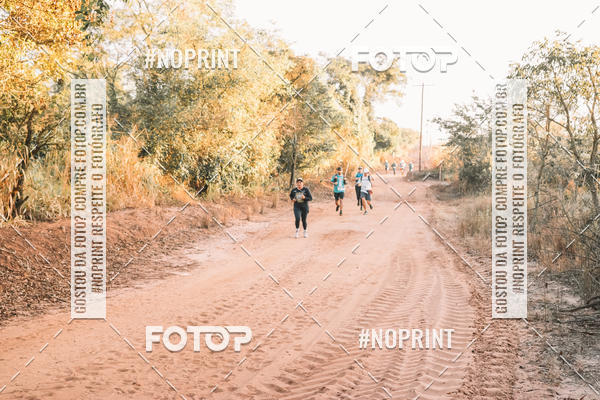 Buy your photos of the eventUltramaratona Trail Run CS 2019 on Fotop