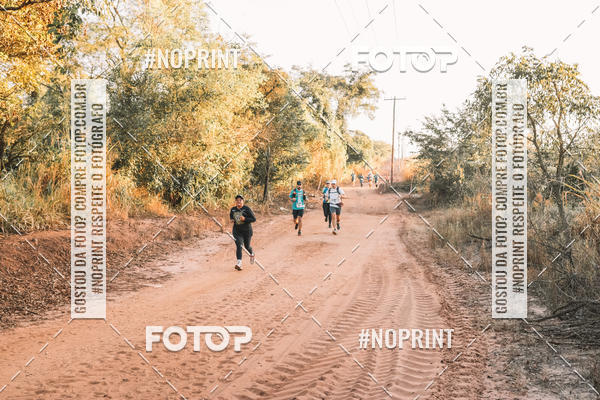 Buy your photos of the eventUltramaratona Trail Run CS 2019 on Fotop