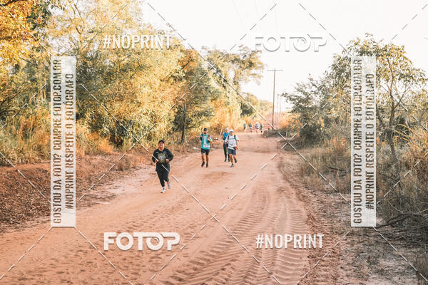 Buy your photos of the eventUltramaratona Trail Run CS 2019 on Fotop