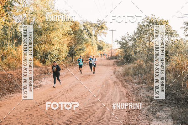 Buy your photos of the eventUltramaratona Trail Run CS 2019 on Fotop
