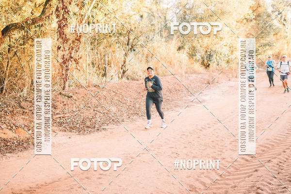 Buy your photos of the eventUltramaratona Trail Run CS 2019 on Fotop