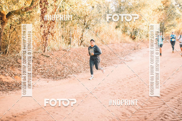 Buy your photos of the eventUltramaratona Trail Run CS 2019 on Fotop