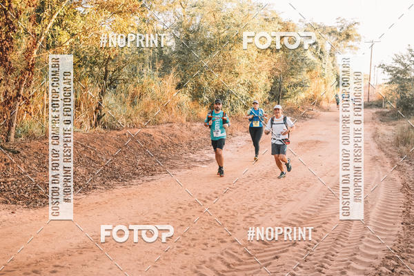 Buy your photos of the eventUltramaratona Trail Run CS 2019 on Fotop