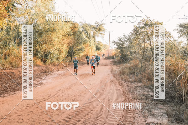 Buy your photos of the eventUltramaratona Trail Run CS 2019 on Fotop