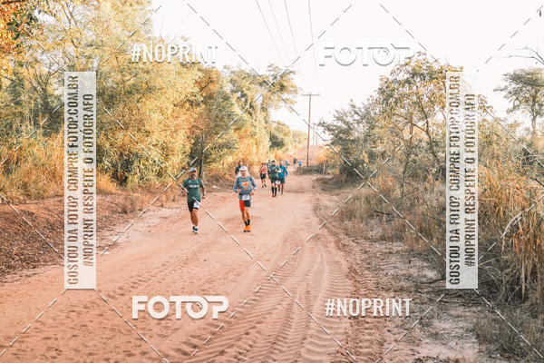 Buy your photos of the eventUltramaratona Trail Run CS 2019 on Fotop