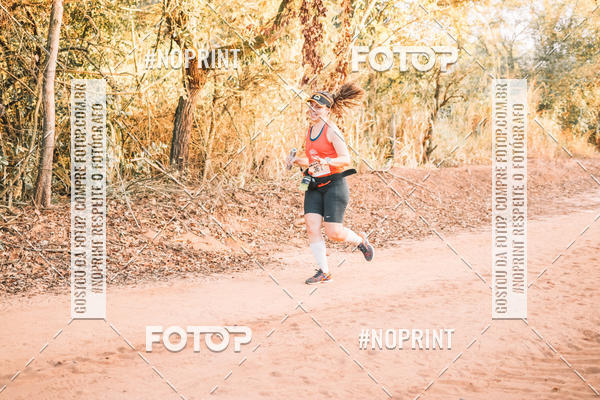 Buy your photos of the eventUltramaratona Trail Run CS 2019 on Fotop