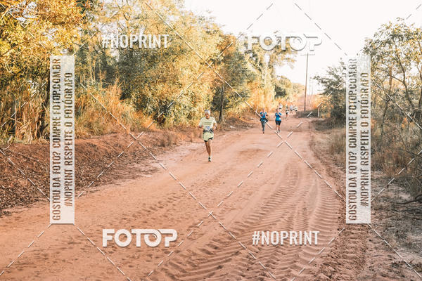 Buy your photos of the eventUltramaratona Trail Run CS 2019 on Fotop