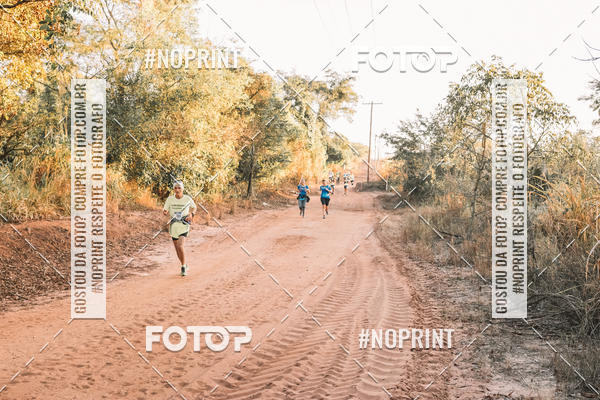 Buy your photos of the eventUltramaratona Trail Run CS 2019 on Fotop
