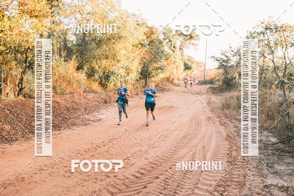 Buy your photos of the eventUltramaratona Trail Run CS 2019 on Fotop