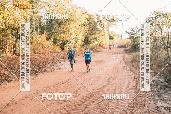 Buy your photos of the eventUltramaratona Trail Run CS 2019 on Fotop