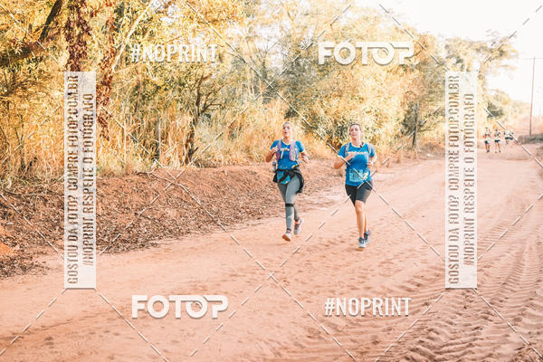 Buy your photos of the eventUltramaratona Trail Run CS 2019 on Fotop