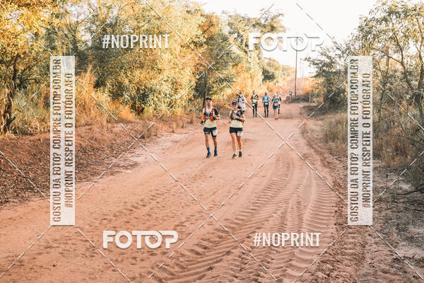 Buy your photos of the eventUltramaratona Trail Run CS 2019 on Fotop