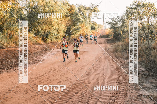 Buy your photos of the eventUltramaratona Trail Run CS 2019 on Fotop