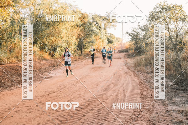 Buy your photos of the eventUltramaratona Trail Run CS 2019 on Fotop